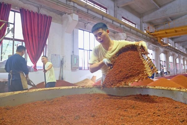 6748A5B2CAE382276EAC9B4625654BE5