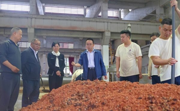 E919D39BABA461E9DE1B3A3CE7D6F409